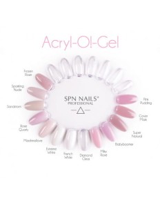 SPN Acryl-O!-Gel Frozen Rose 20g