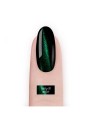 cat-eye-5d-007-nailac-7ml (1).jpg