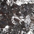 2e50393059eb07858b53ea1eddf03c62.jpg