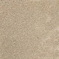 fc8255bd287841ec321d4129367d2964.jpg