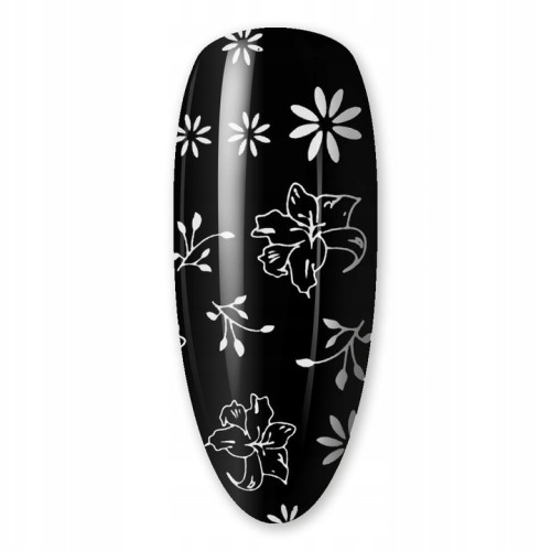 33dbfa3e885864969d1213f3cba19ace.jpg